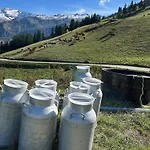 Appartement Des Pistes Megève