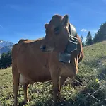 Des Pistes Megève