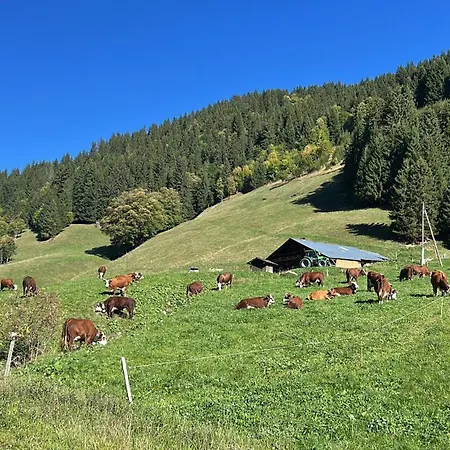 Apartamento Des Pistes *