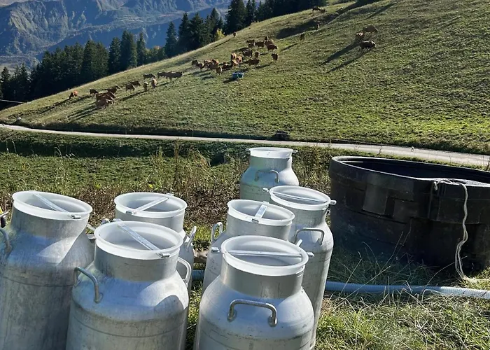 Apartamento Des Pistes Megève