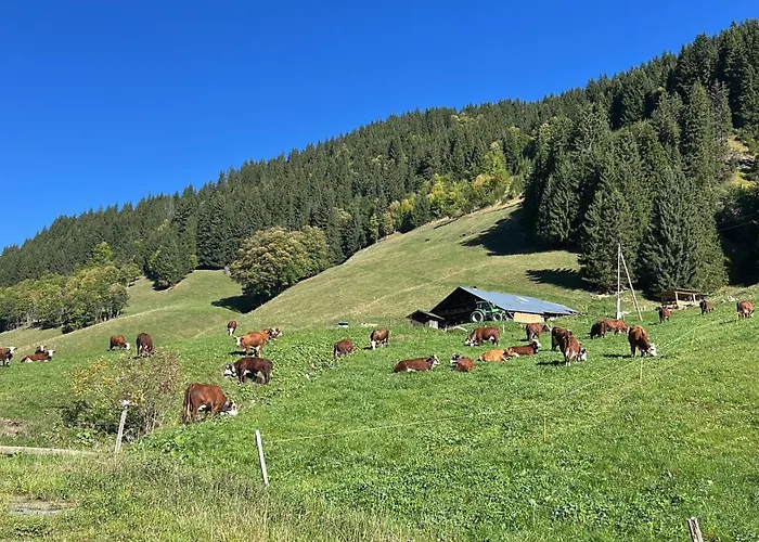 Appartement Des Pistes *