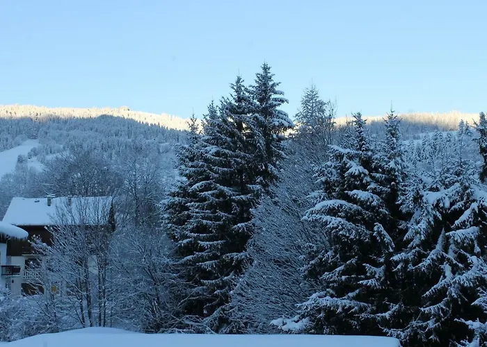 Des Pistes Appartement Megève